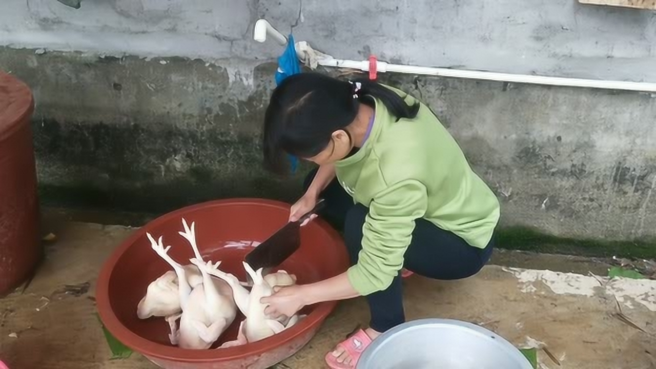 關(guān)于阿梅殺雞視頻的理性分析與網(wǎng)絡(luò)倫理道德探討，警惕涉黃內(nèi)容侵蝕社會倫理底線。