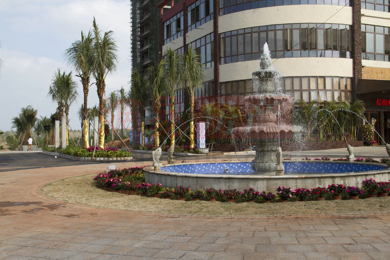 棕櫚水城最新動態(tài)，塑造理想生活新標(biāo)桿！