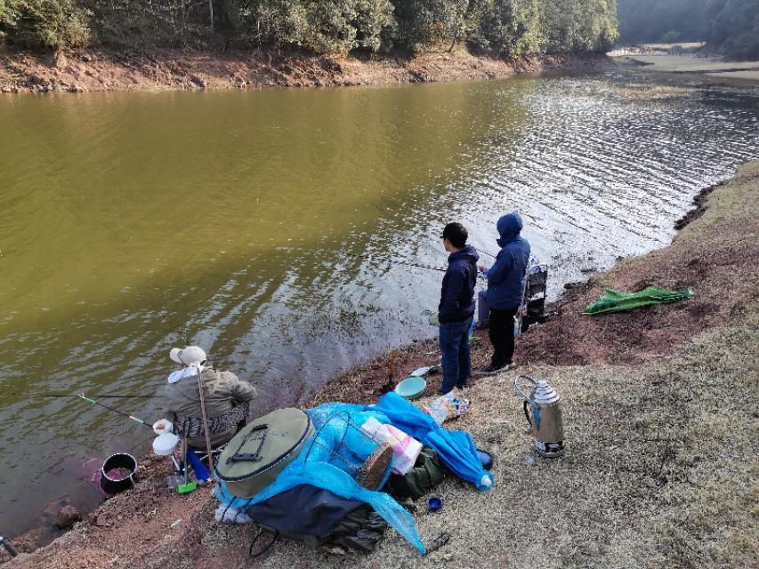 最新水庫釣魚視頻，探索釣魚樂趣與技巧全攻略