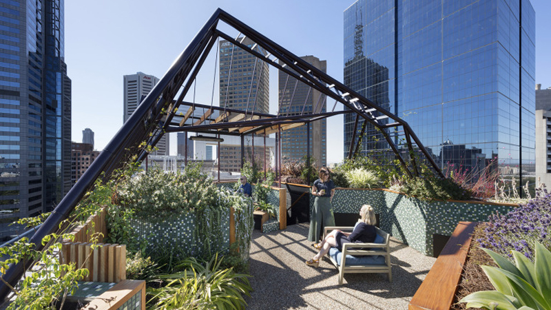 最新樓頂花園設(shè)計(jì)與展示，綠意盎然，繁花似錦的空中花園體驗(yàn)