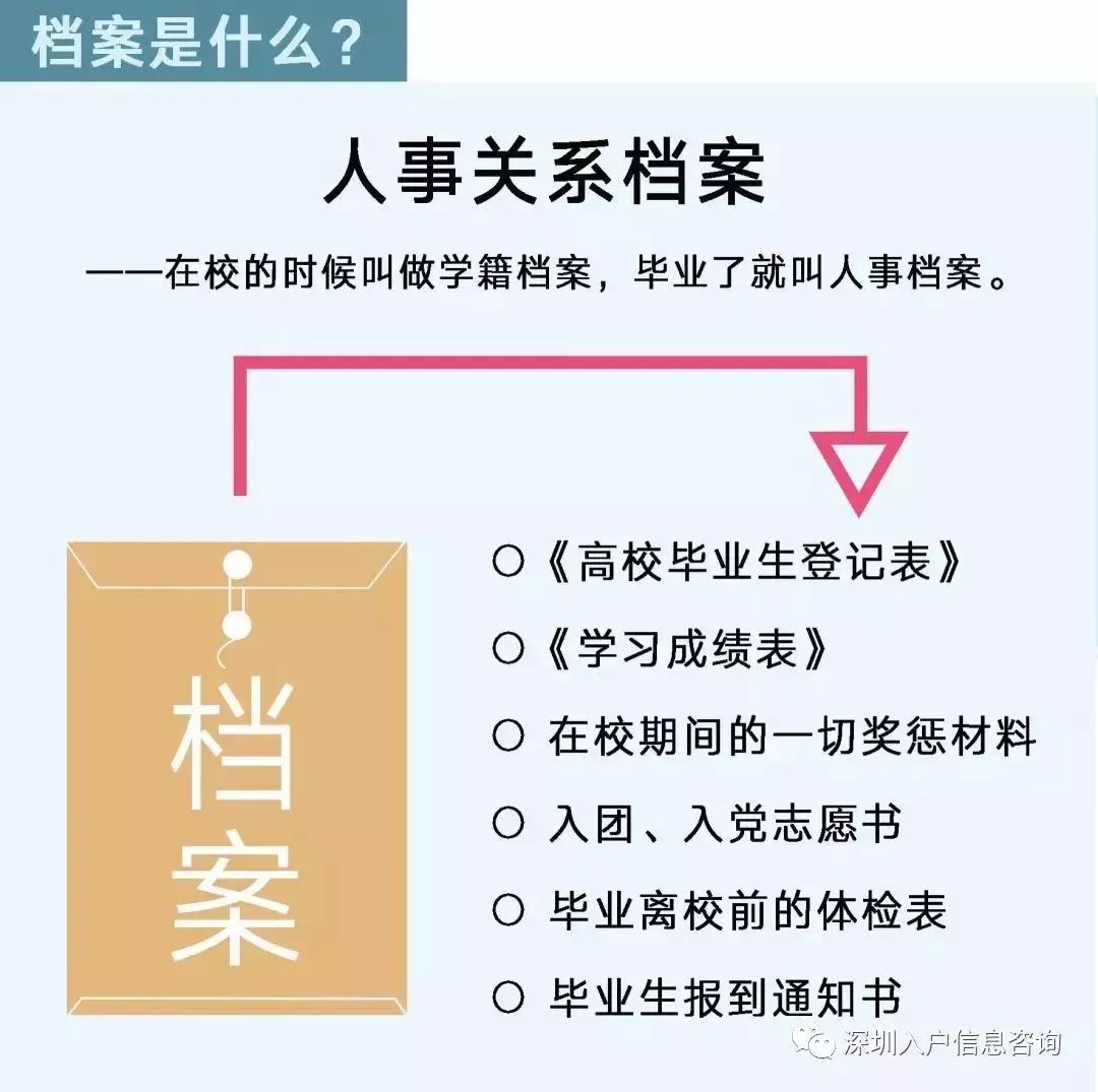 檔案人員補貼最新觀點論述，探討補貼政策與檔案人員發(fā)展的關(guān)系