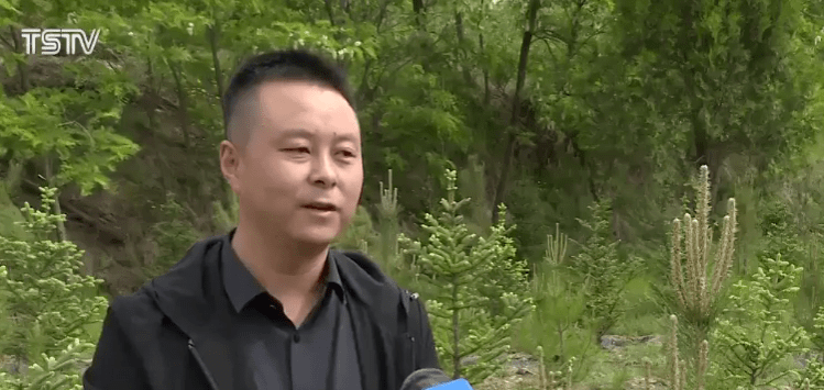 澳門今晚上必開一肖,新技術推動方略_BPJ27.868方案版