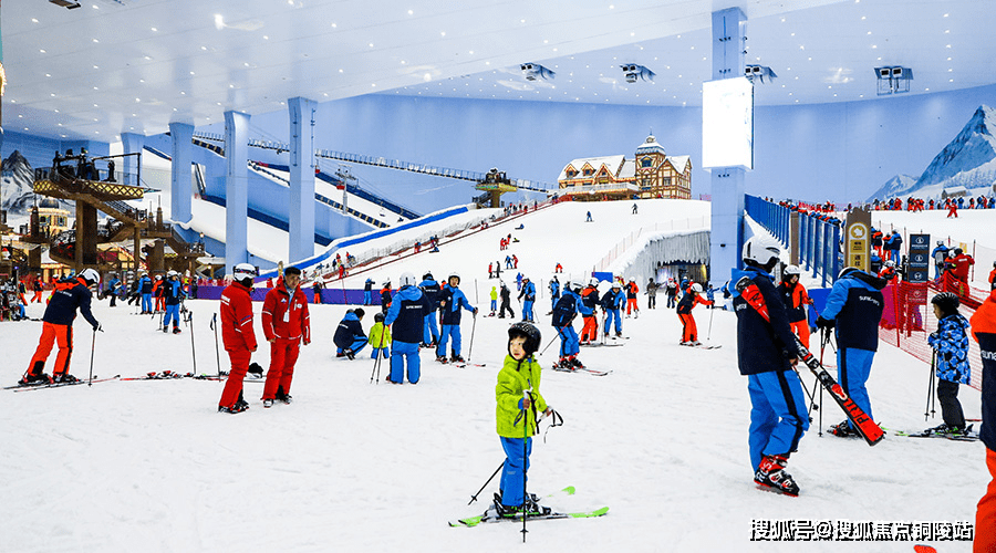 2024六何彩生肖圖開獎結(jié)果查詢,科學(xué)依據(jù)解析_XOJ83.285溫馨版