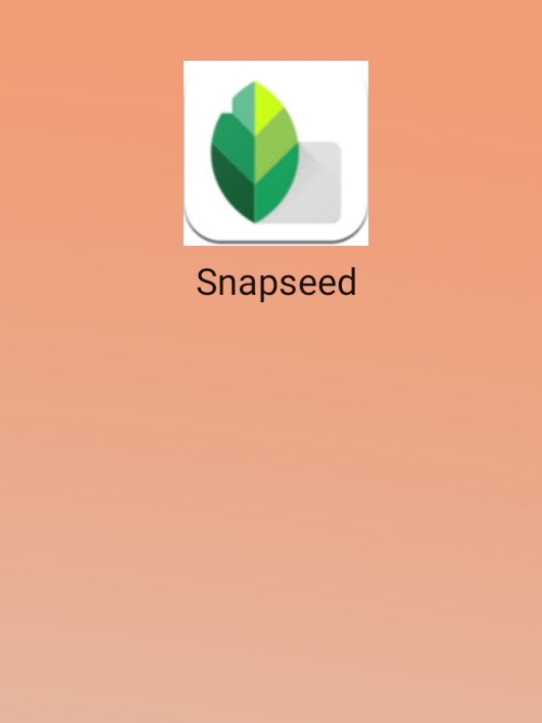 最新snapseed中文版，科技重塑影像，讓生活因攝影更精彩