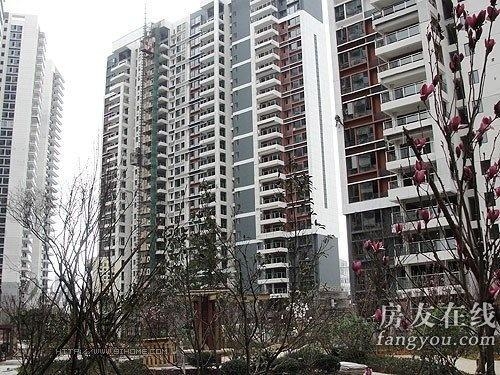 綠地長島公寓最新價(jià)格揭秘，小巷深處的隱藏寶藏