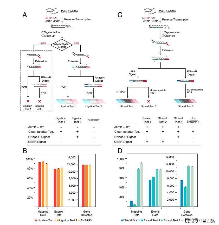 新澳門49圖資料,科學(xué)分析嚴(yán)謹解釋_BDU85.735跨平臺版