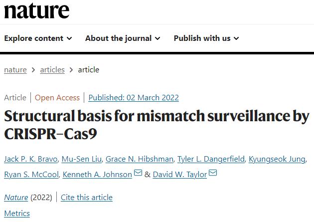 新澳開(kāi)獎(jiǎng)結(jié)果資料查詢,安全設(shè)計(jì)解析說(shuō)明法_PIA47.734觸感版