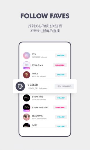 VAPP最新版下載，觀點(diǎn)論述與獲取渠道