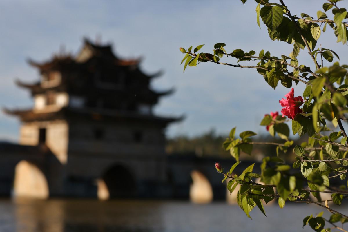 大冰最新力作，智能生活新紀(jì)元——科技與生活的完美融合