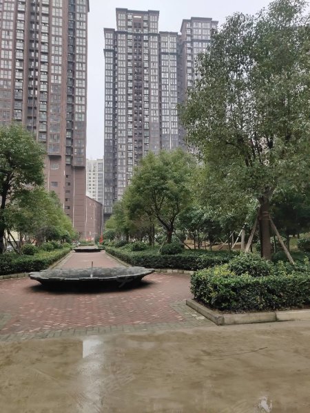 南陽盛世御苑最新動態(tài)揭秘,全面指南與步驟詳解