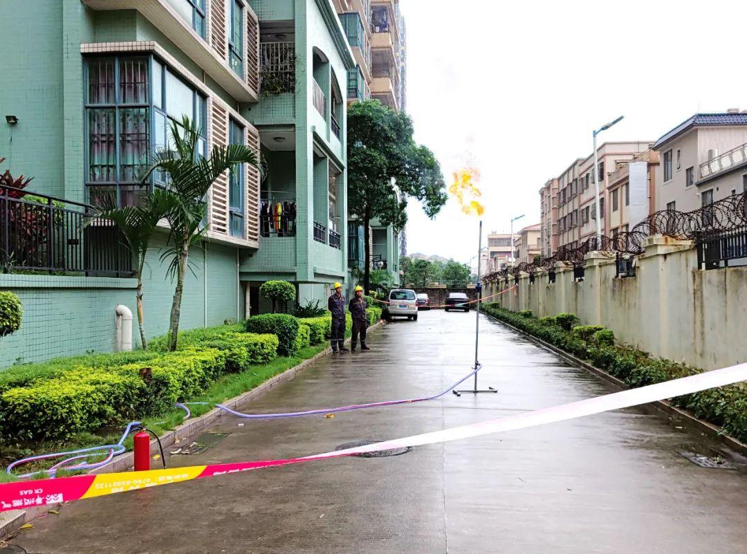 中山東鳳佛奧最新動態(tài)，自然美景的探索之旅，尋找內(nèi)心平和與寧靜