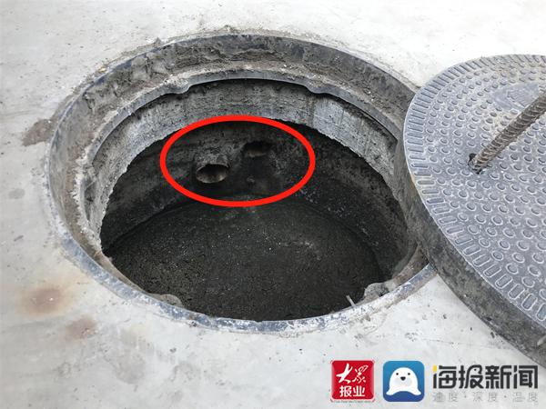 福建臺幫幫團最新一期揭秘，小巷深處的隱藏美食瑰寶