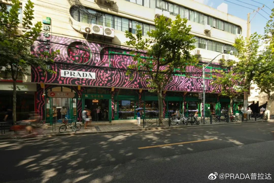 東南坊扦遷最新動態(tài)，變化中的學習之旅，成就感的源泉