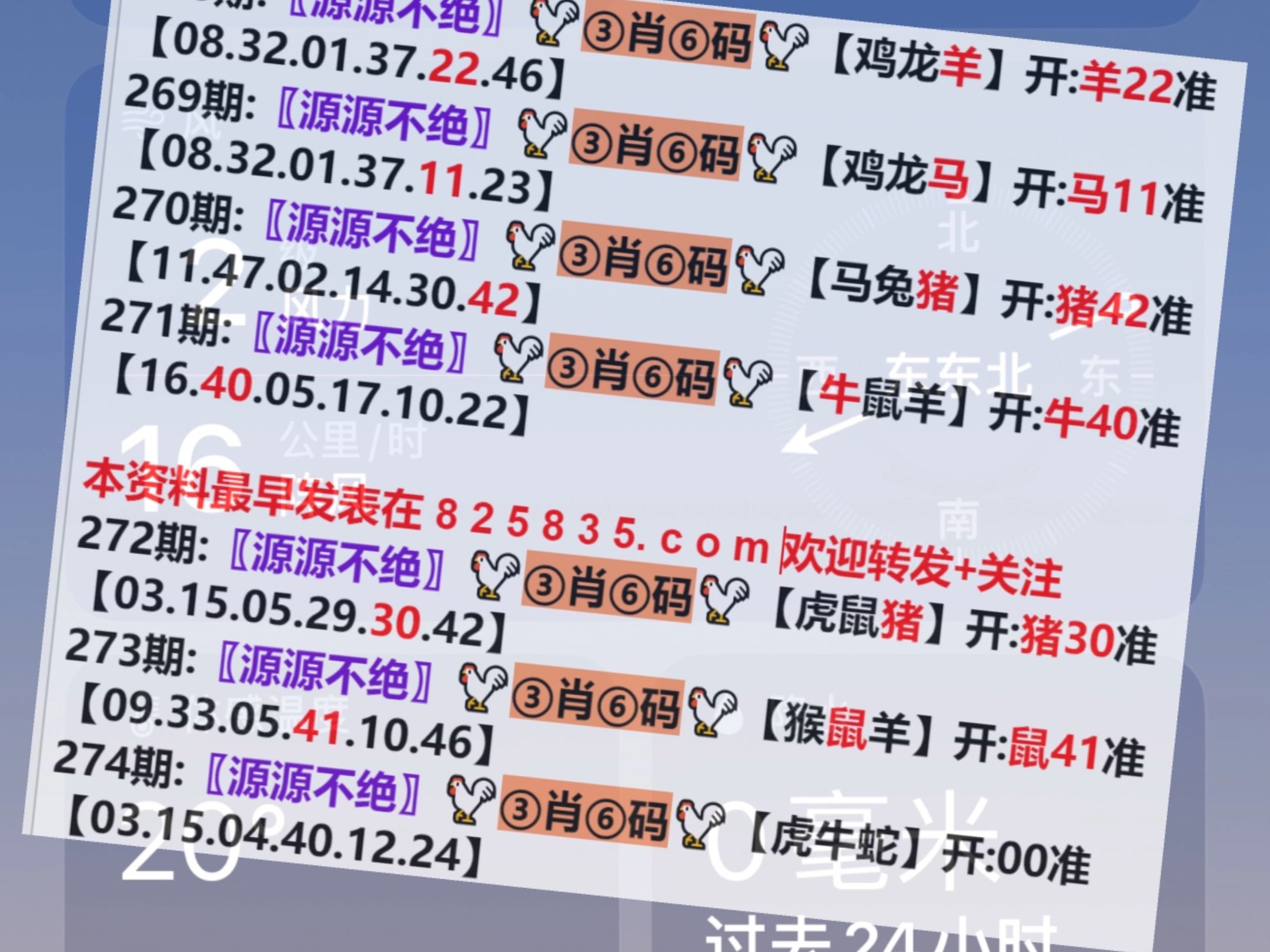 2024年新澳門王中王開獎結(jié)果,深入研究執(zhí)行計劃_高速版7.984