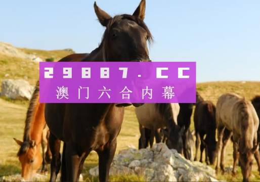 澳門管家婆一肖一碼一中一開,操作實(shí)踐評(píng)估_融合版90.262
