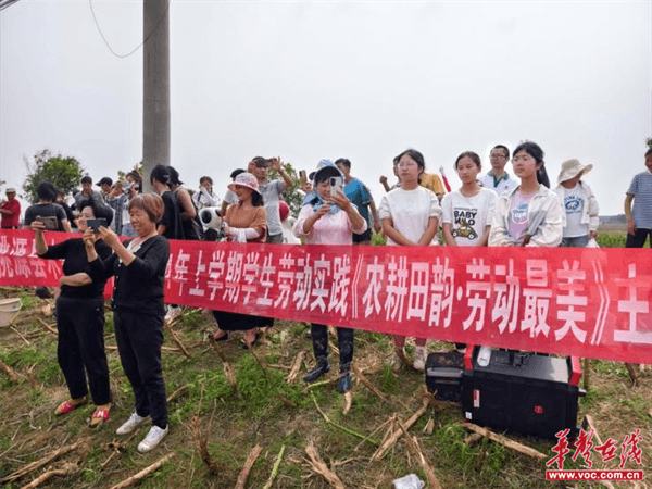 桃源木塘垸鄉(xiāng)新動態(tài)，趣事連連，真摯友情綻放鄉(xiāng)間