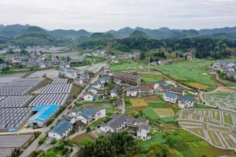 遵義市喇叭鎮(zhèn)最新動(dòng)態(tài)更新，最新消息匯總