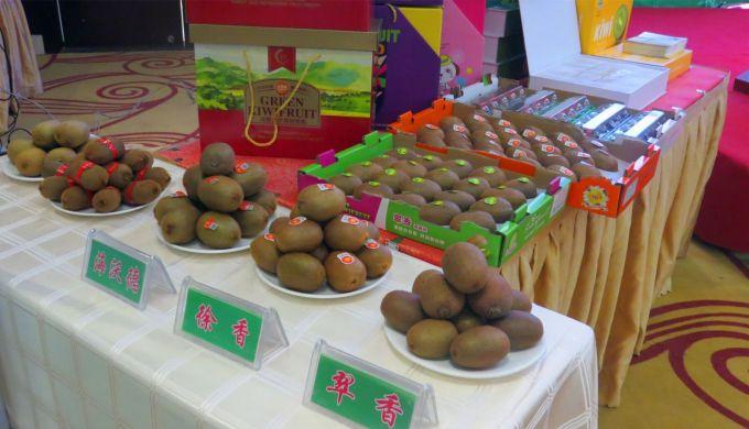 嘉興對接上海最新進(jìn)展，城市崛起中的自信與成就感展現(xiàn)新面貌