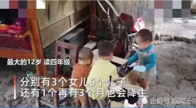 廣西最新預情，自然美景探索之旅，喚醒內(nèi)心平靜之旅