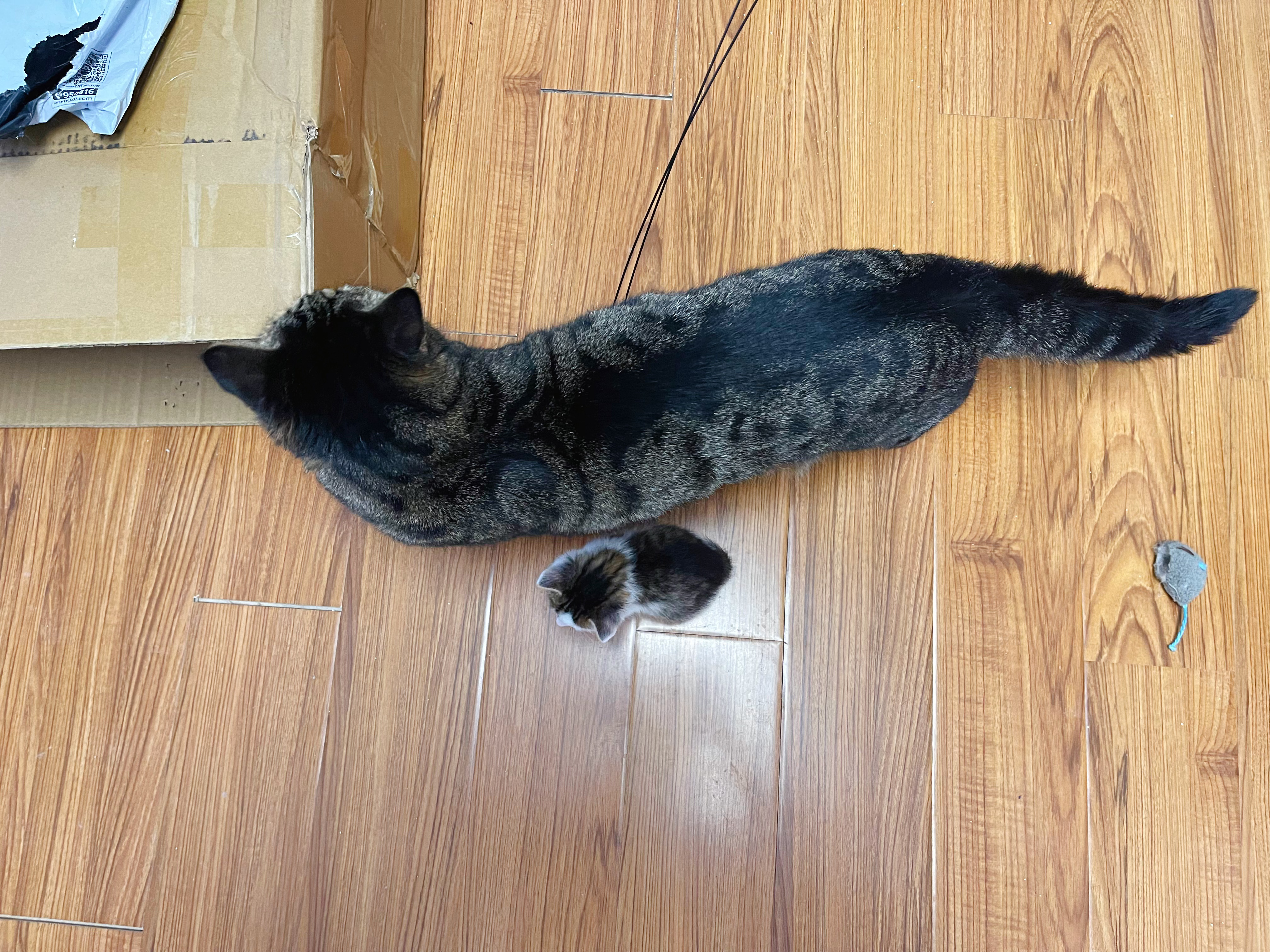 第1333頁