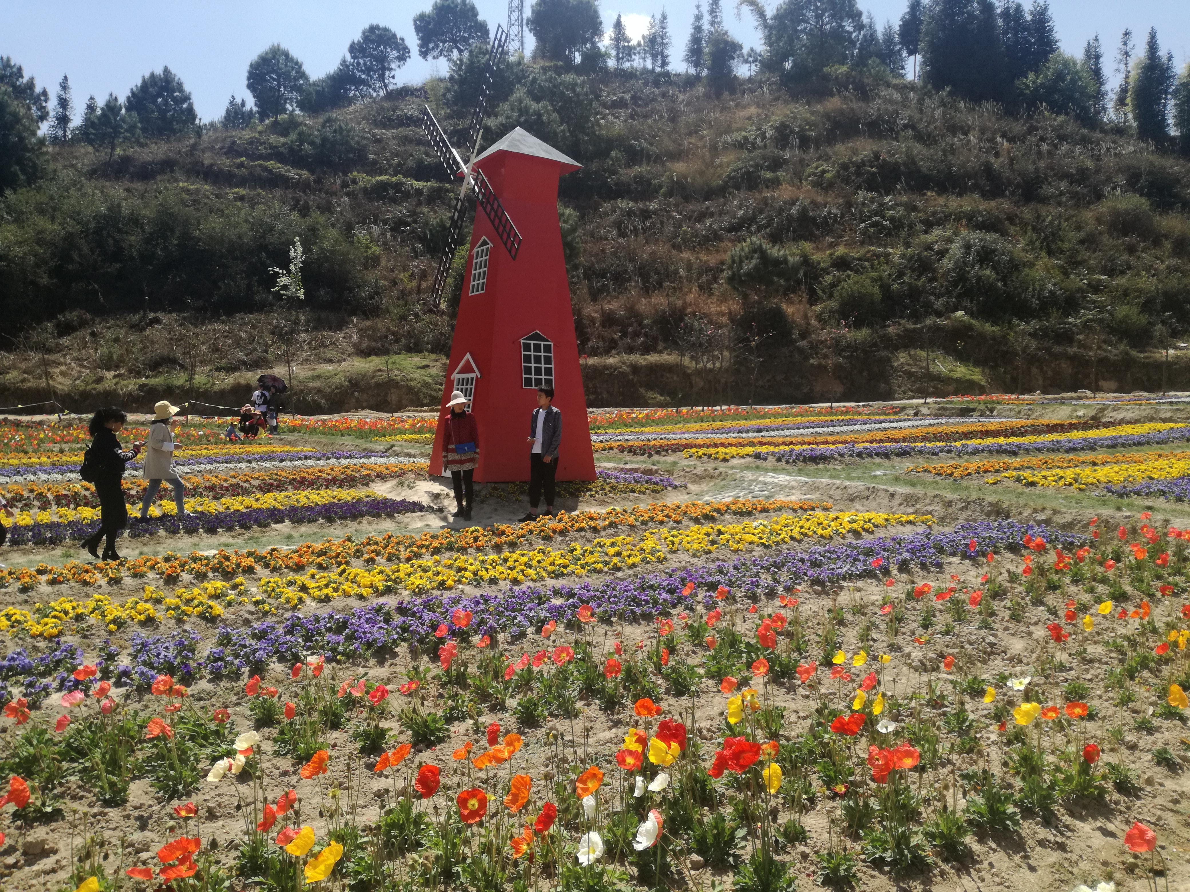 臨滄市最新探索，自然美景之旅，尋找內(nèi)心平和的旅程
