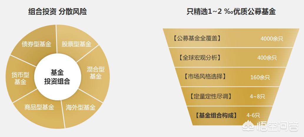 深度解析，今年養(yǎng)雞產(chǎn)業(yè)趨勢(shì)與前景展望