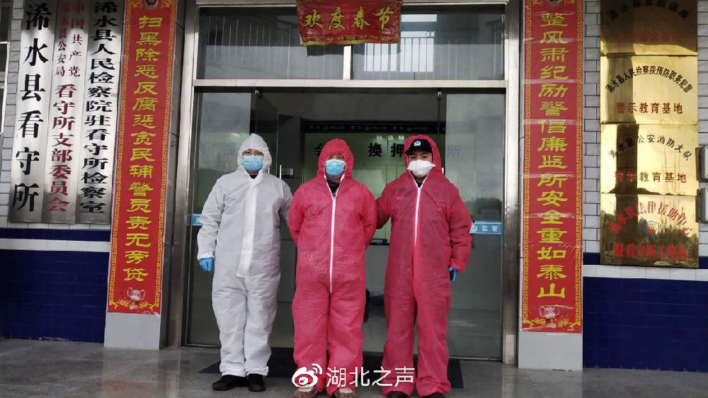 浠水最新疫情,浠水最新疫情下的自然探索之旅，尋找內心的寧靜與平和