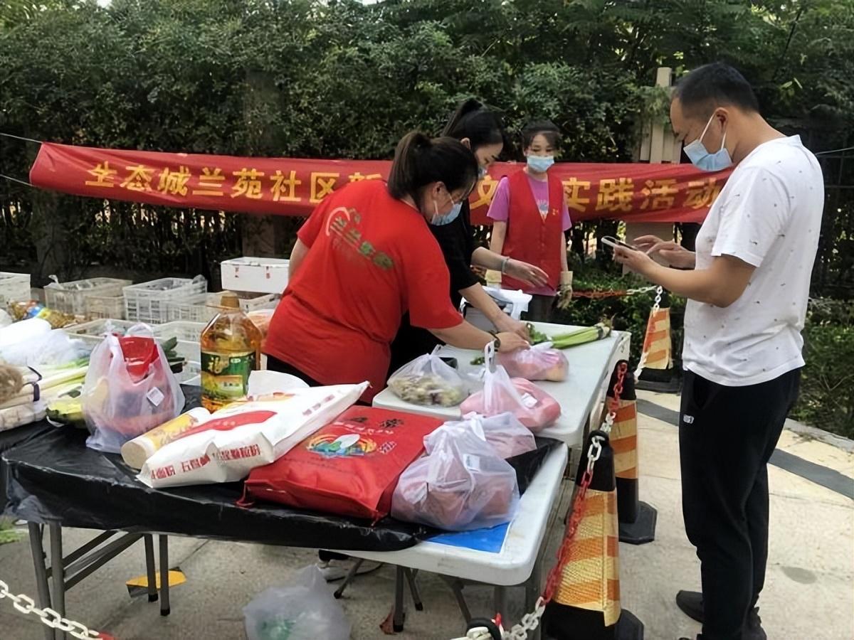 保利華潤紫云價格深度解析，探尋背后的故事與地位影響