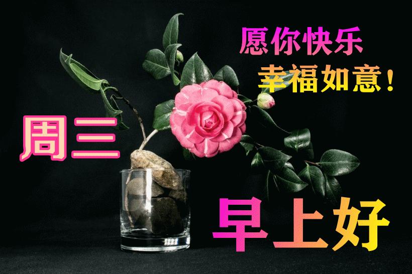 最新早晨問候動態(tài)表情包，溫馨問候，從表情開始！