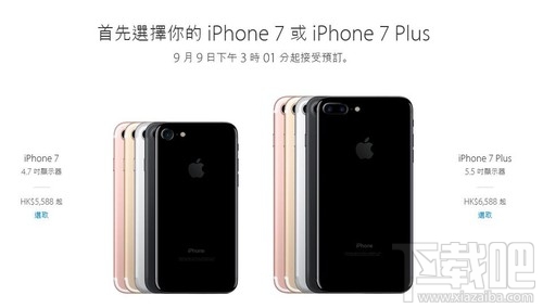 香港蘋果最新價(jià)格揭秘，小巷深處的驚喜發(fā)現(xiàn)