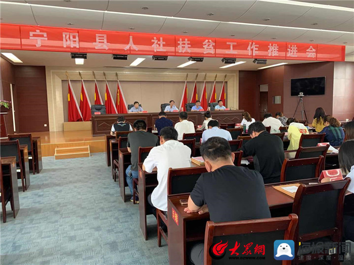 寧陽網(wǎng)最新資訊，城市中的溫情日常
