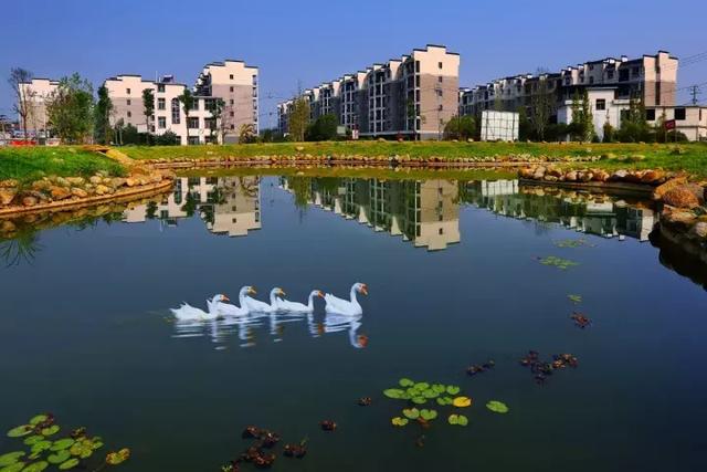 萍鄉(xiāng)安源湖，最新動態(tài)揭示湖畔變革與自我超越之旅