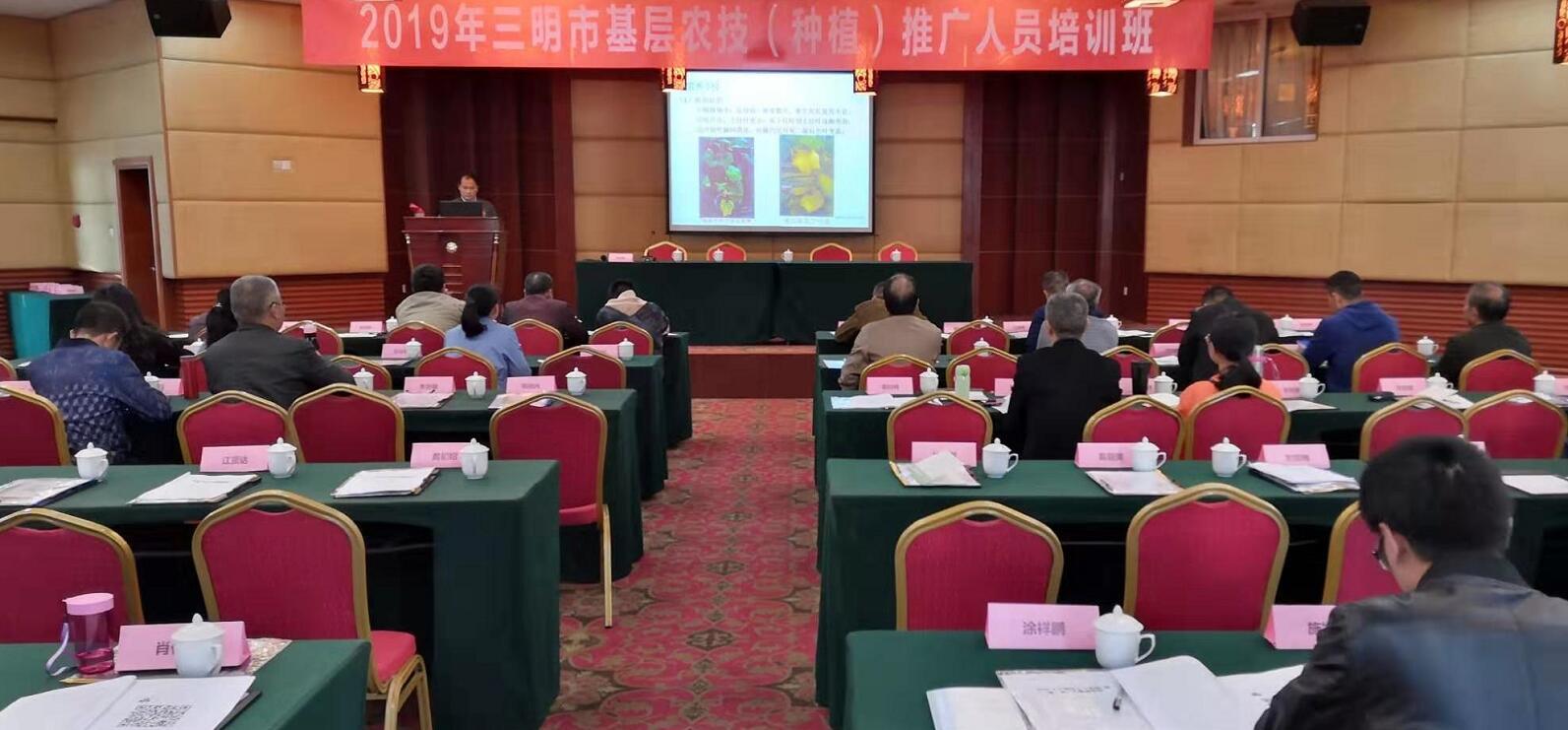 豇豆最新，廚房中的友情與家的溫馨