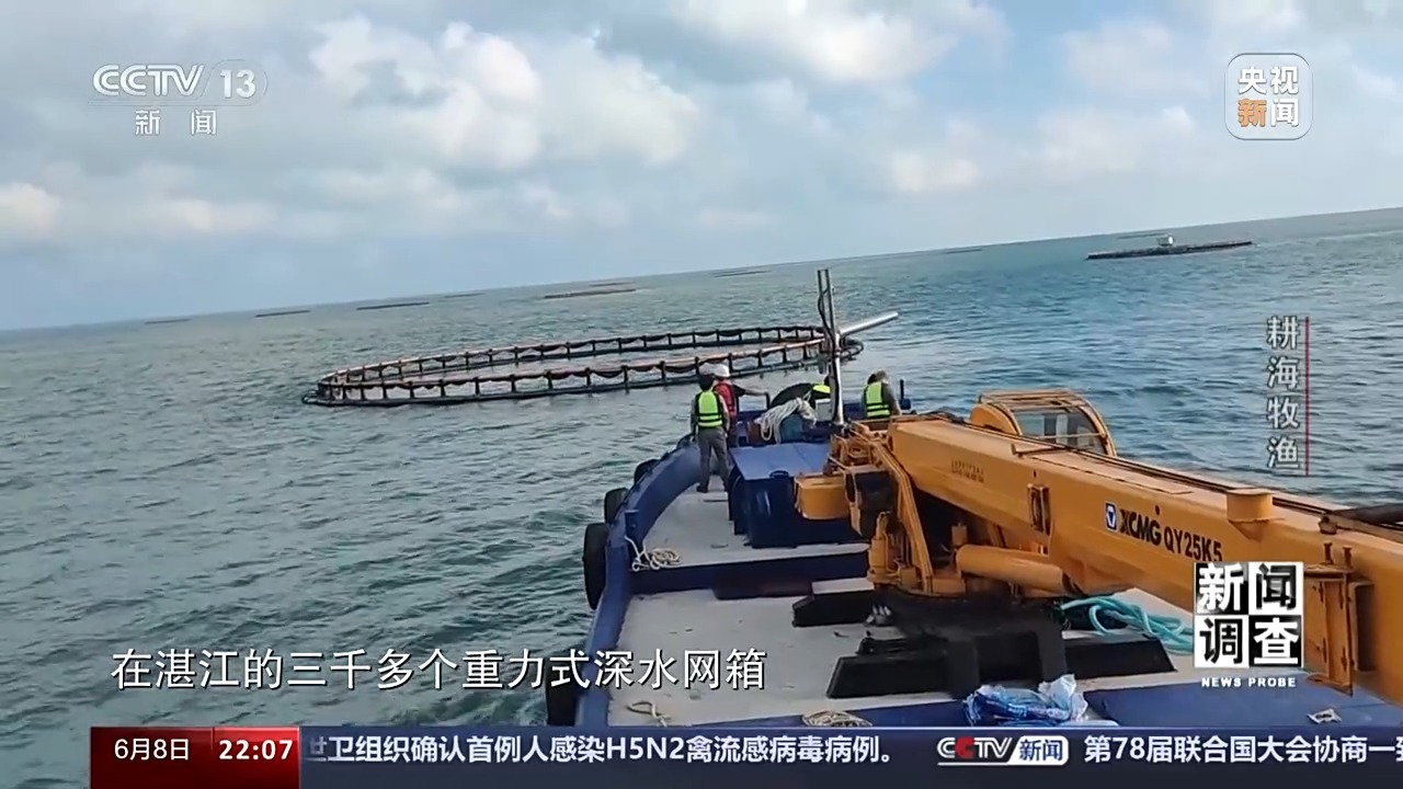 最新海水養(yǎng)殖,最新海水養(yǎng)殖，一種前沿農(nóng)業(yè)技術(shù)的觀點(diǎn)分析