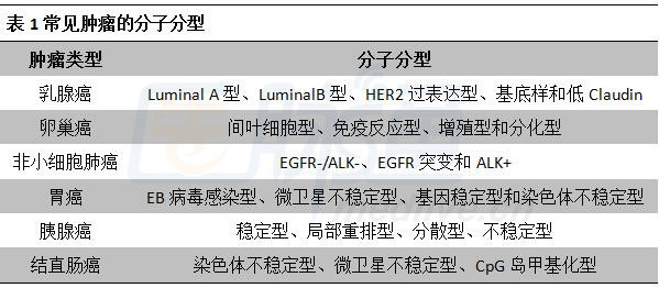 最新乳腺分類科技產(chǎn)品介紹，引領(lǐng)乳腺健康新篇章