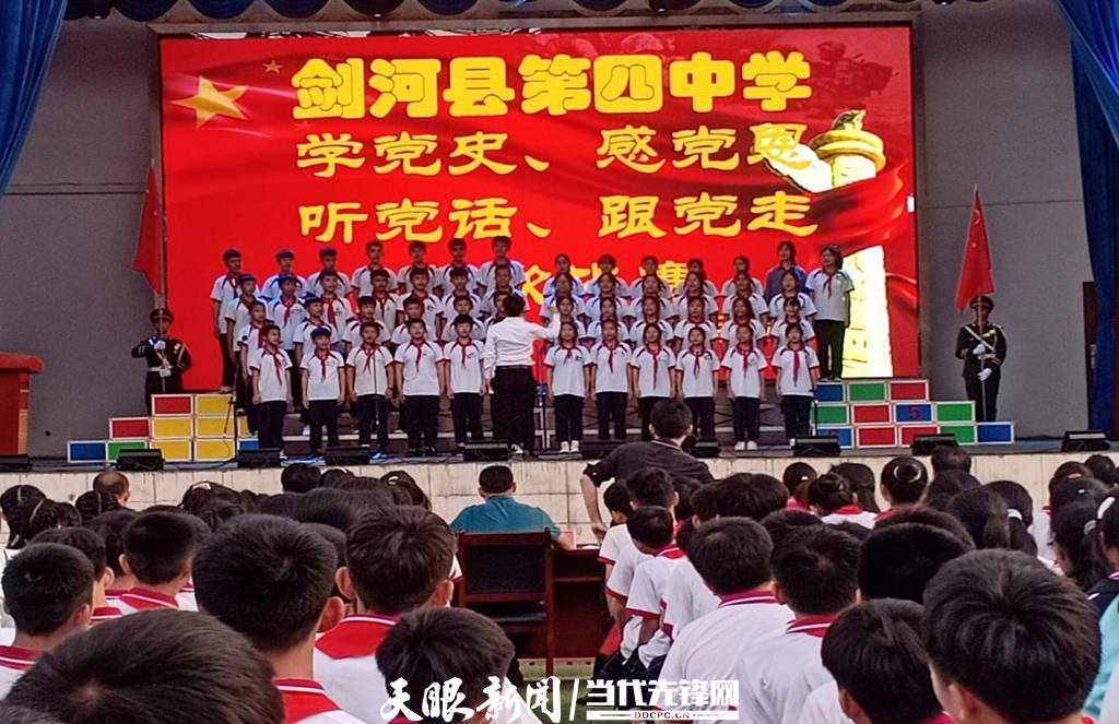 青蛙與狗的泳池挑戰(zhàn)，揭秘游泳比賽背后的故事，青蛙夢工廠的秘密探索