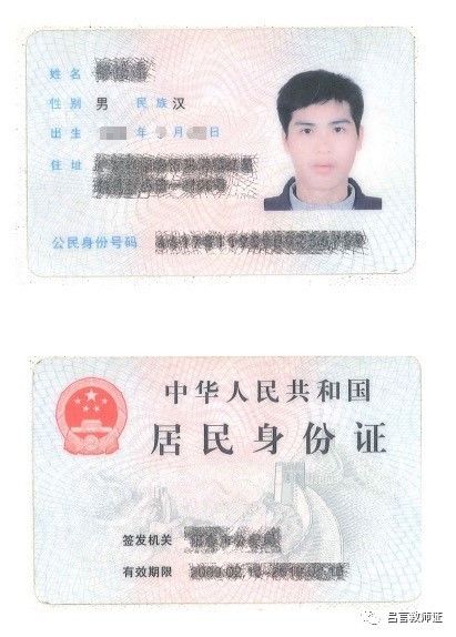 最新證照，友情與陪伴的溫馨故事之旅