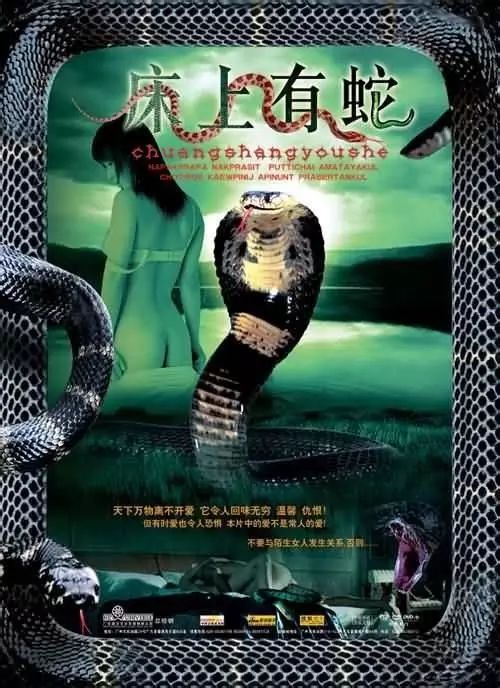 最新蛇片，蛻變的旅程，召喚自信與成就感的冒險之旅