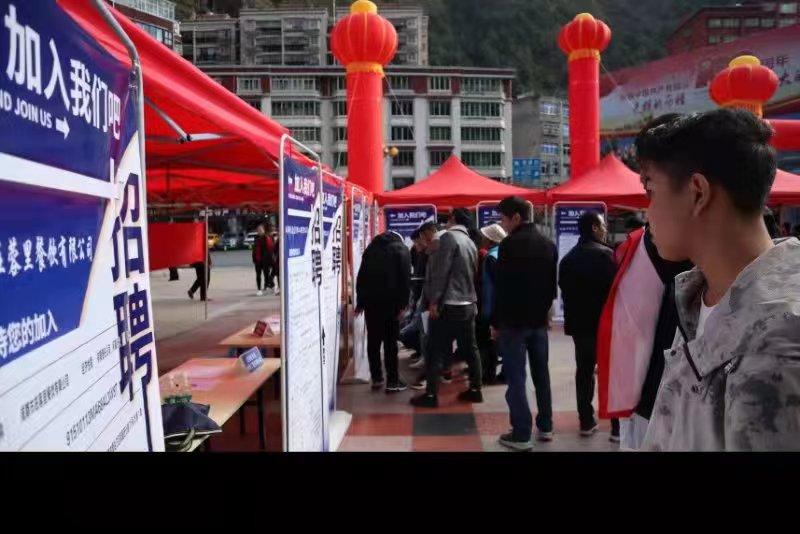 青白江招聘信息探索，小巷中的職業(yè)機遇