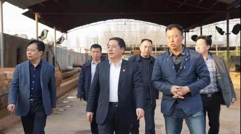 商丘王仲田最新動態(tài)，探索自然美景的旅行，尋求內心平和之旅