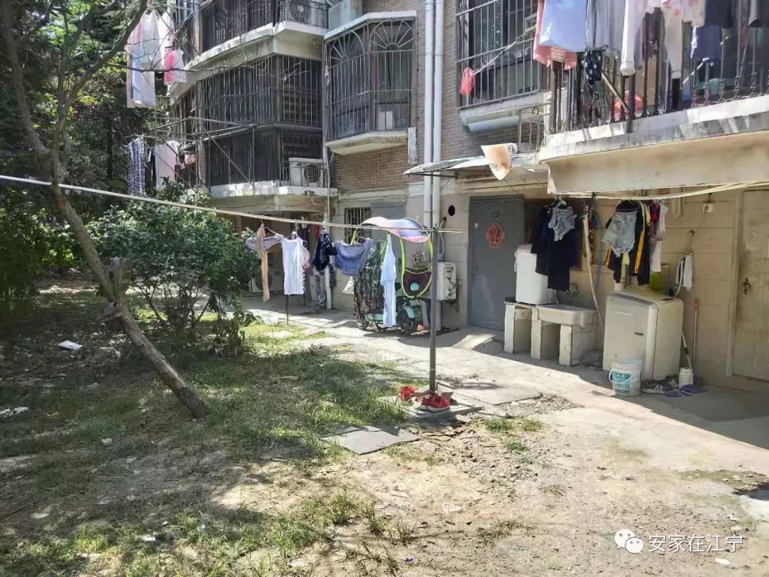 最新大雜亂時代，混沌與秩序的重建之路