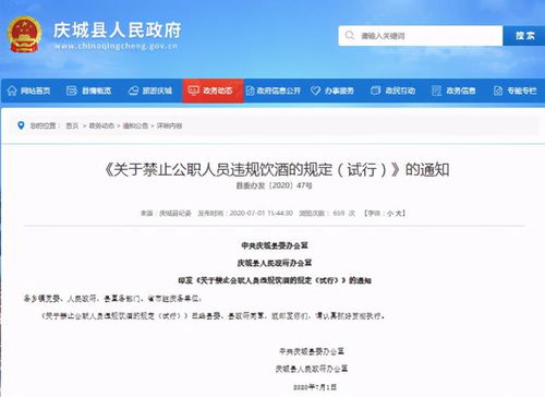 酒駕處罰2024最新標(biāo)準(zhǔn)詳解，步驟指南與更新概覽