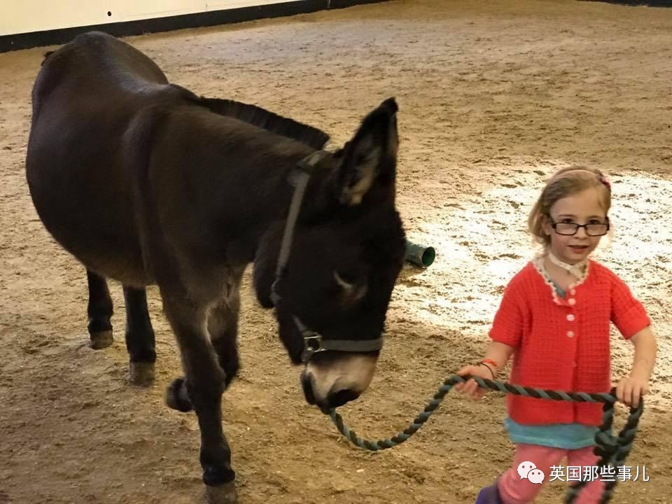 二驢子最新事件揭秘，事件全貌大揭秘！