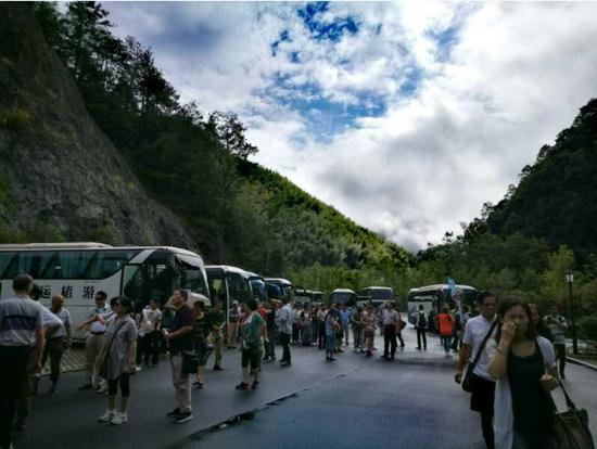 泰順高鐵最新動態(tài)更新，最新消息一覽