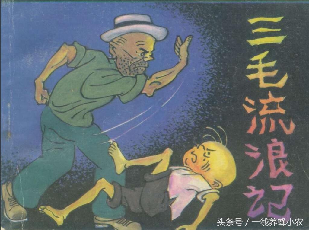 上海三毛最新動態(tài)，自然美景探索之旅啟幕