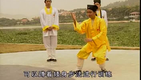 太極最新音樂(lè)，傳統(tǒng)與現(xiàn)代的完美融合藝術(shù)展現(xiàn)