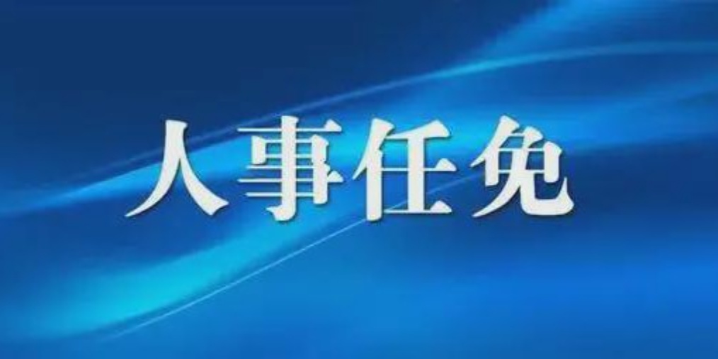 成都人事任免背后的故事，小巷獨(dú)特風(fēng)味小店與城市的脈動(dòng)