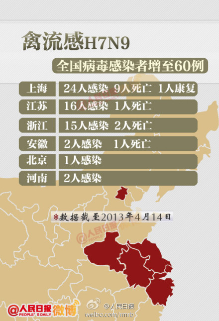 山東禽流感最新動(dòng)態(tài)，友情與陪伴的溫馨故事