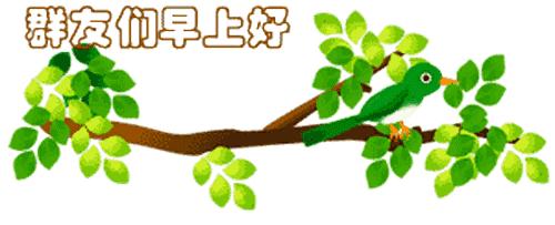 最新清晨祝福短信，晨曦中的溫暖問候，傳遞美好祝愿與關(guān)懷