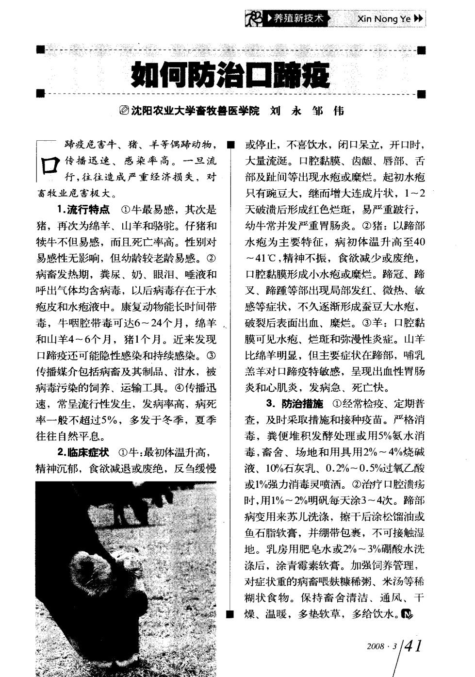 口蹄疫最新科研，自然探險(xiǎn)與內(nèi)心平和的追尋之旅